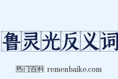 鲁灵光反义词是什么意思的图片